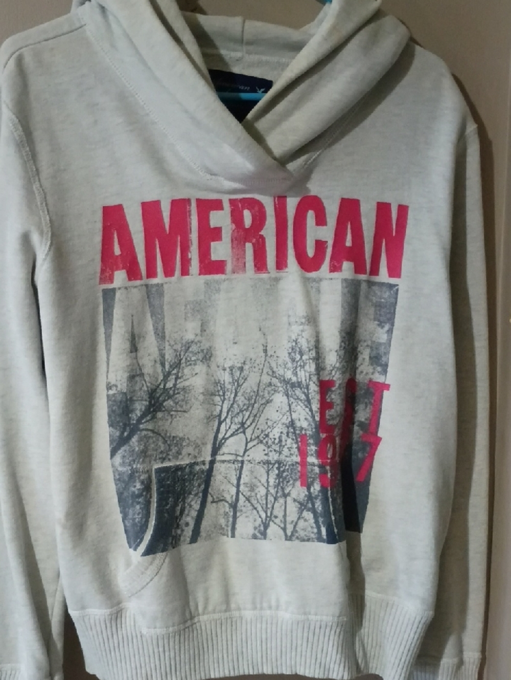 American Eagle Outfitters Light Gray Hoodie with Pink 'AMERICAN' Print